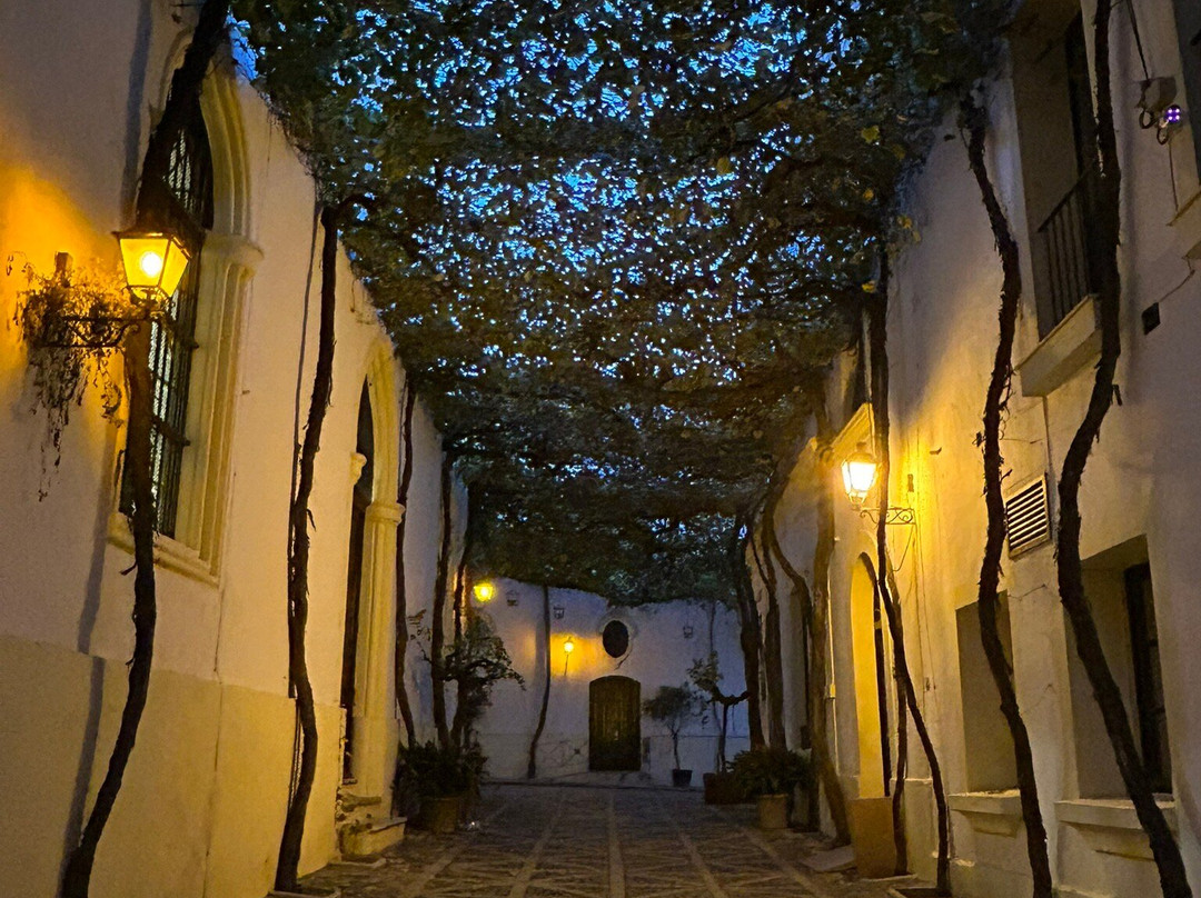 Bodegas Tio Pepe-赫雷斯德拉弗隆特拉必去景点