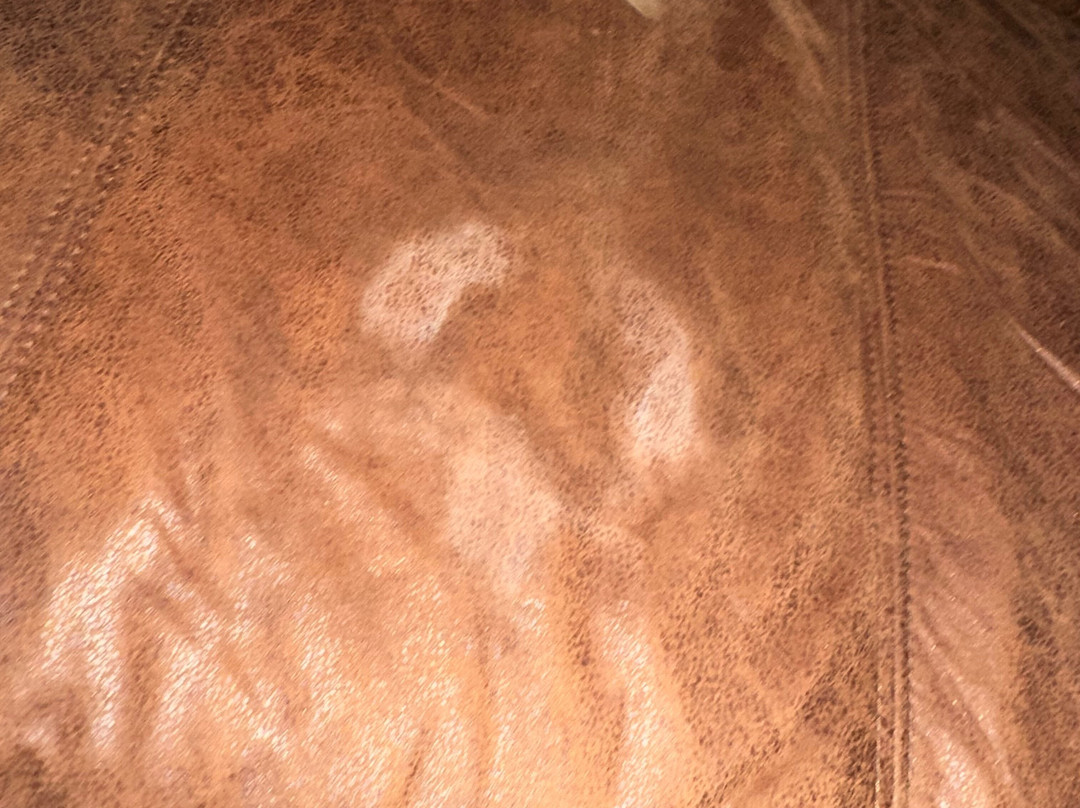 Super 8 by Wyndham Fairview Heights - St. Louis主图