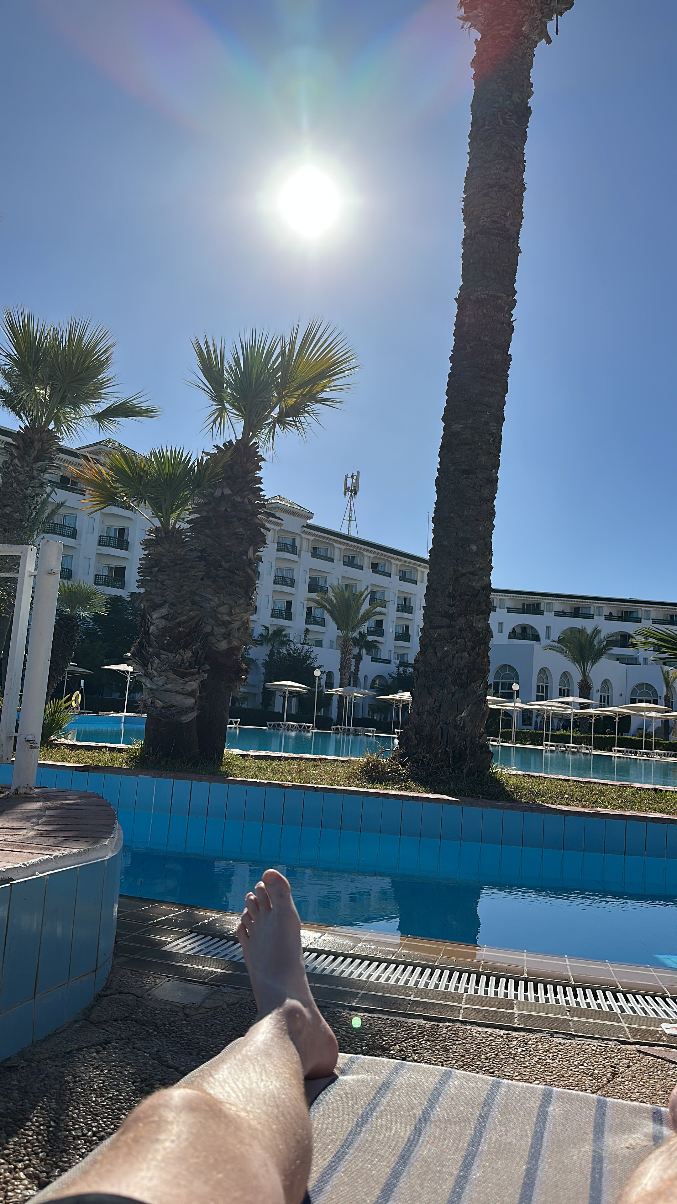 莫拉蒂棕榈码头酒店-官方