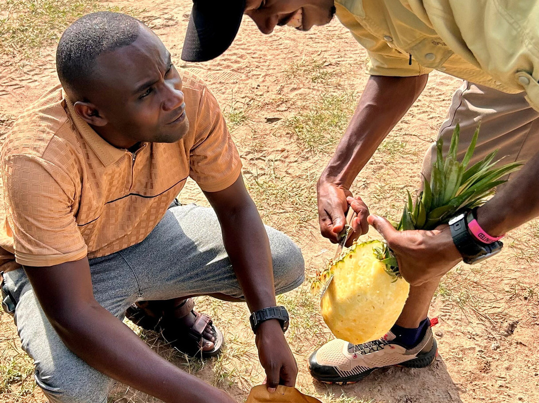 Trek Rwenzori Tours-Fort Portal必去景点