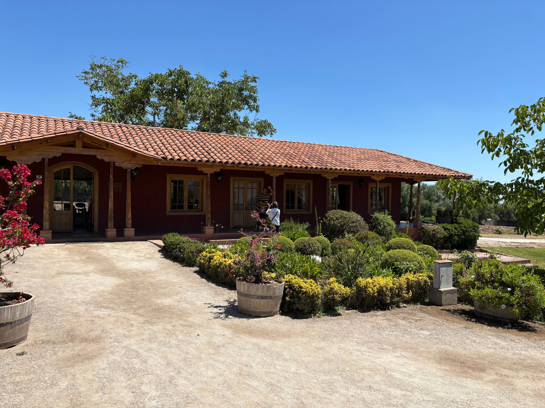 Vina Aquitania-圣地亚哥必去景点