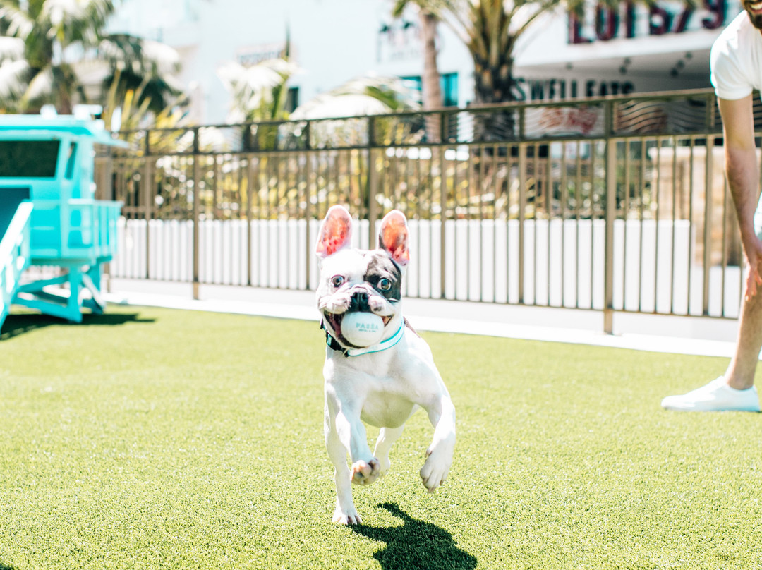 帕瑟亚Spa度假酒店主图