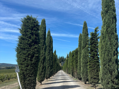 RAW Travel-墨尔本必去景点