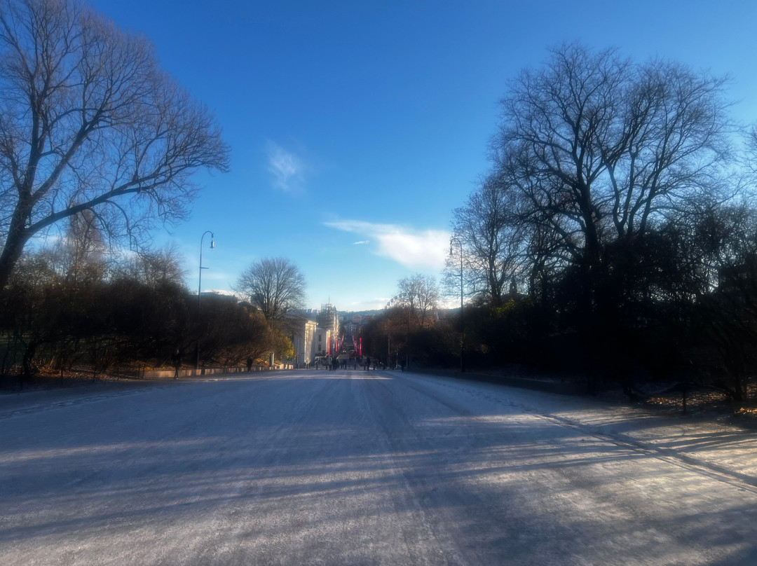 The Palace Park-奥斯陆必去景点