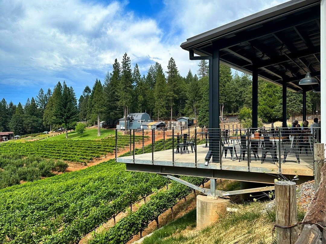 Delfino Farms-Camino必去景点