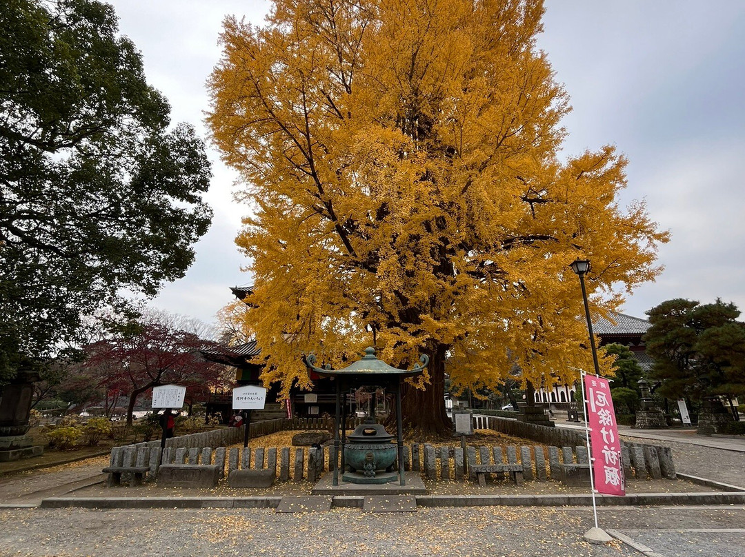 Banna-ji Temple-足利市必去景点