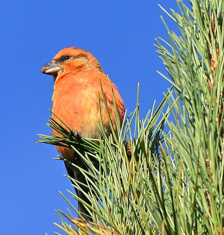 Haw Park Wood-韦克菲尔德必去景点