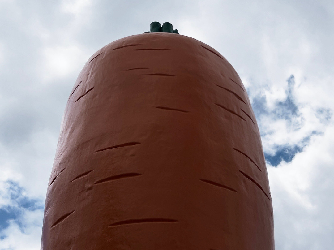 Ohakune Carrot Adventure Park-奥阿库尼必去景点