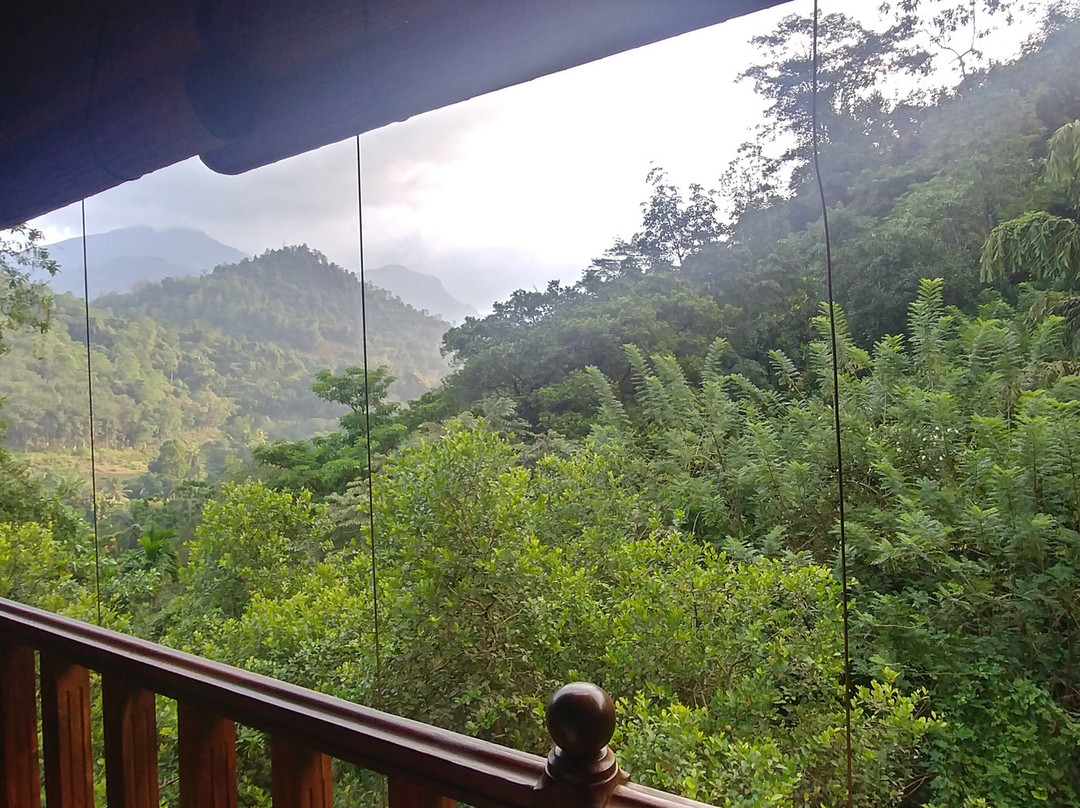 Wanakaset Sri Lanka-Kitulgala必去景点