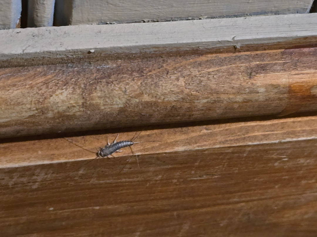 Premier Inn Southampton Eastleigh主图