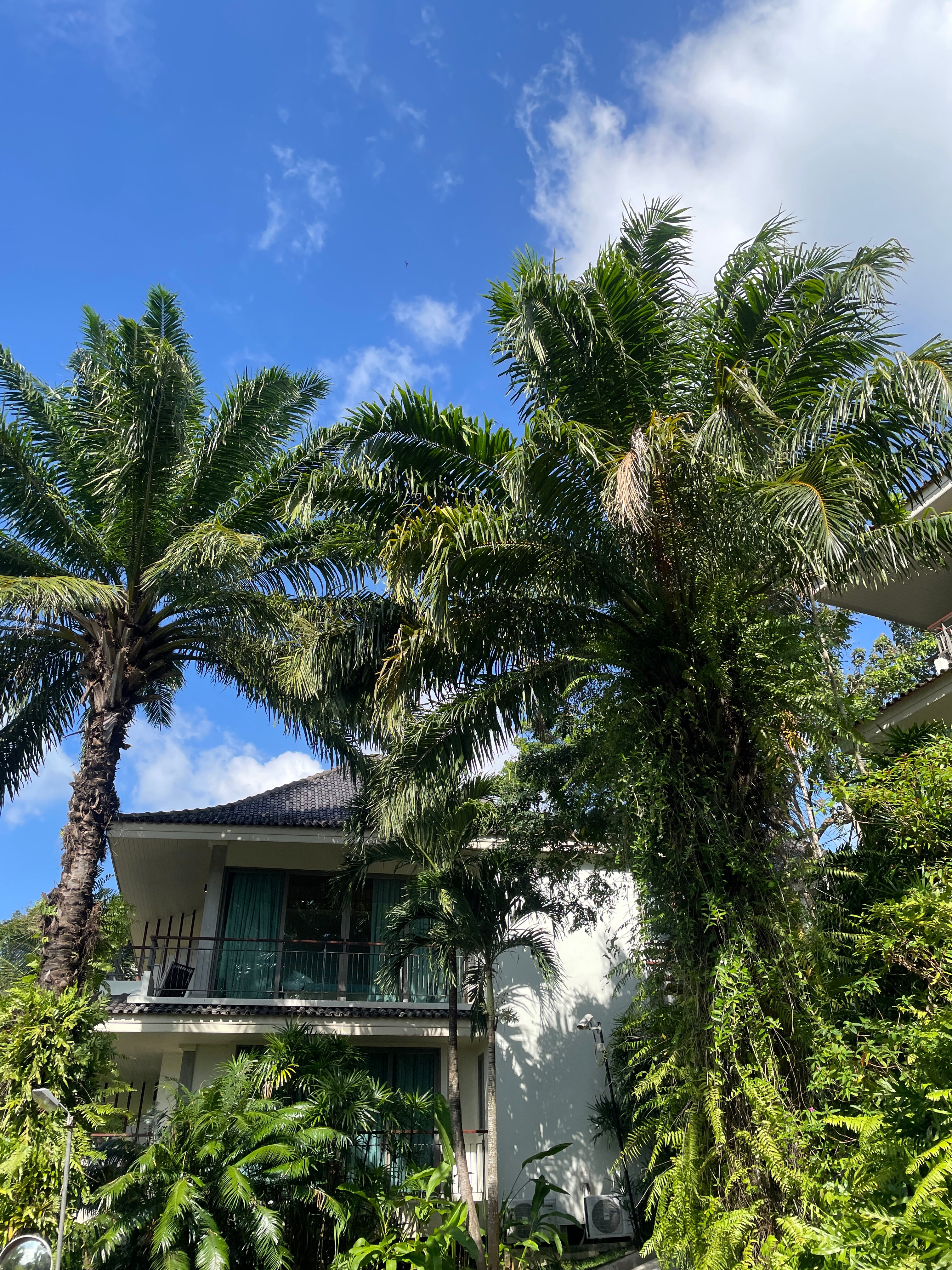 卡伦海滩曼达拉巴SPA度假村-官方