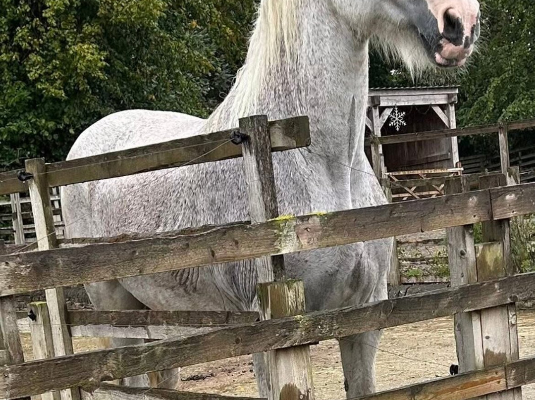 Cannon Hall Farm-Cawthorne必去景点