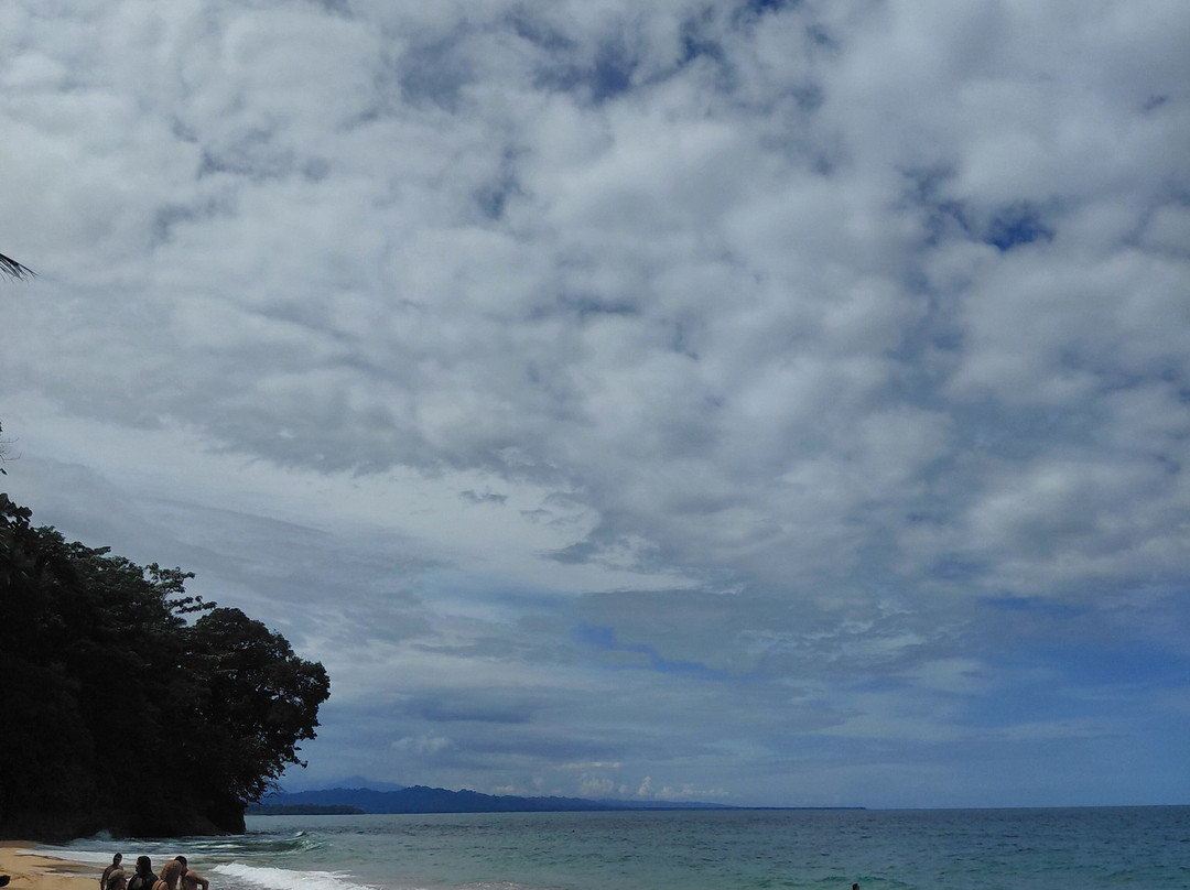 Playa Punta Uva-Punta Uva必去景点