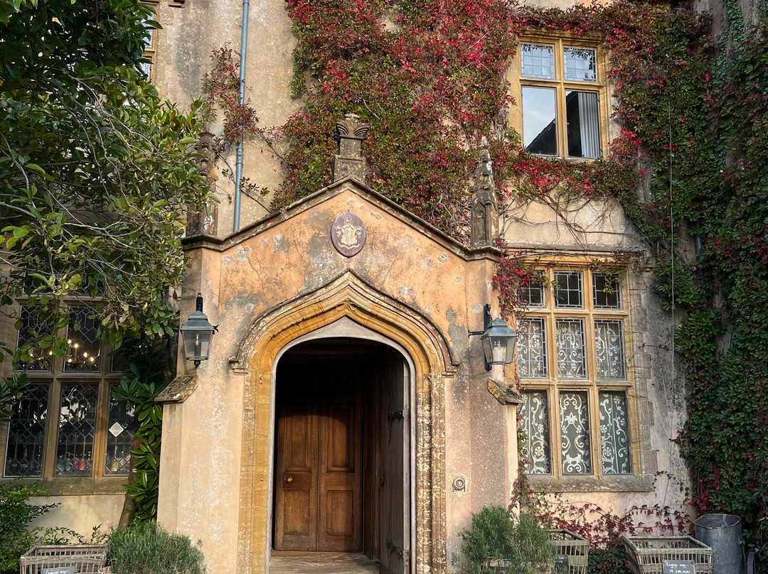 THE PIG - at Combe主图