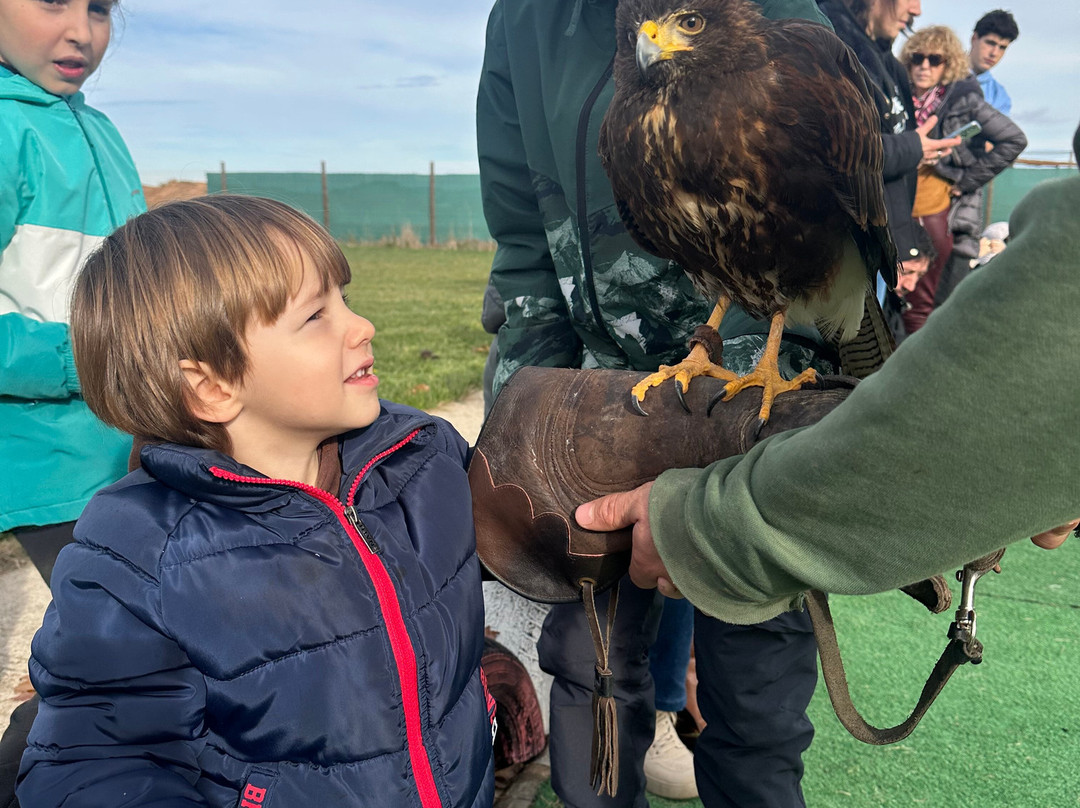 Tierra Rapaz-Calahorra必去景点