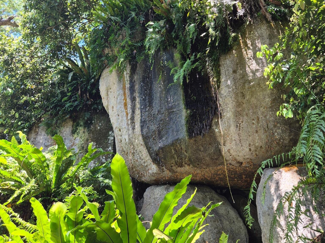 Vallée Des Fruits-大安塞区必去景点