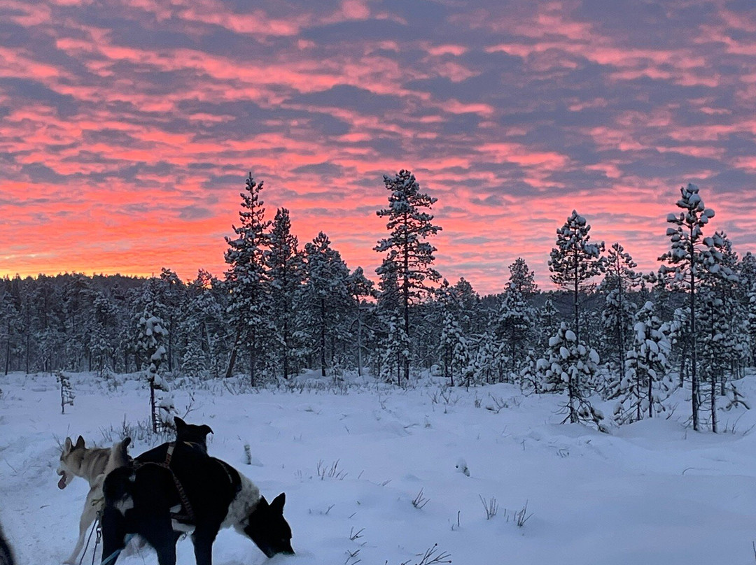 伊纳里远足之旅-伊纳里必去景点