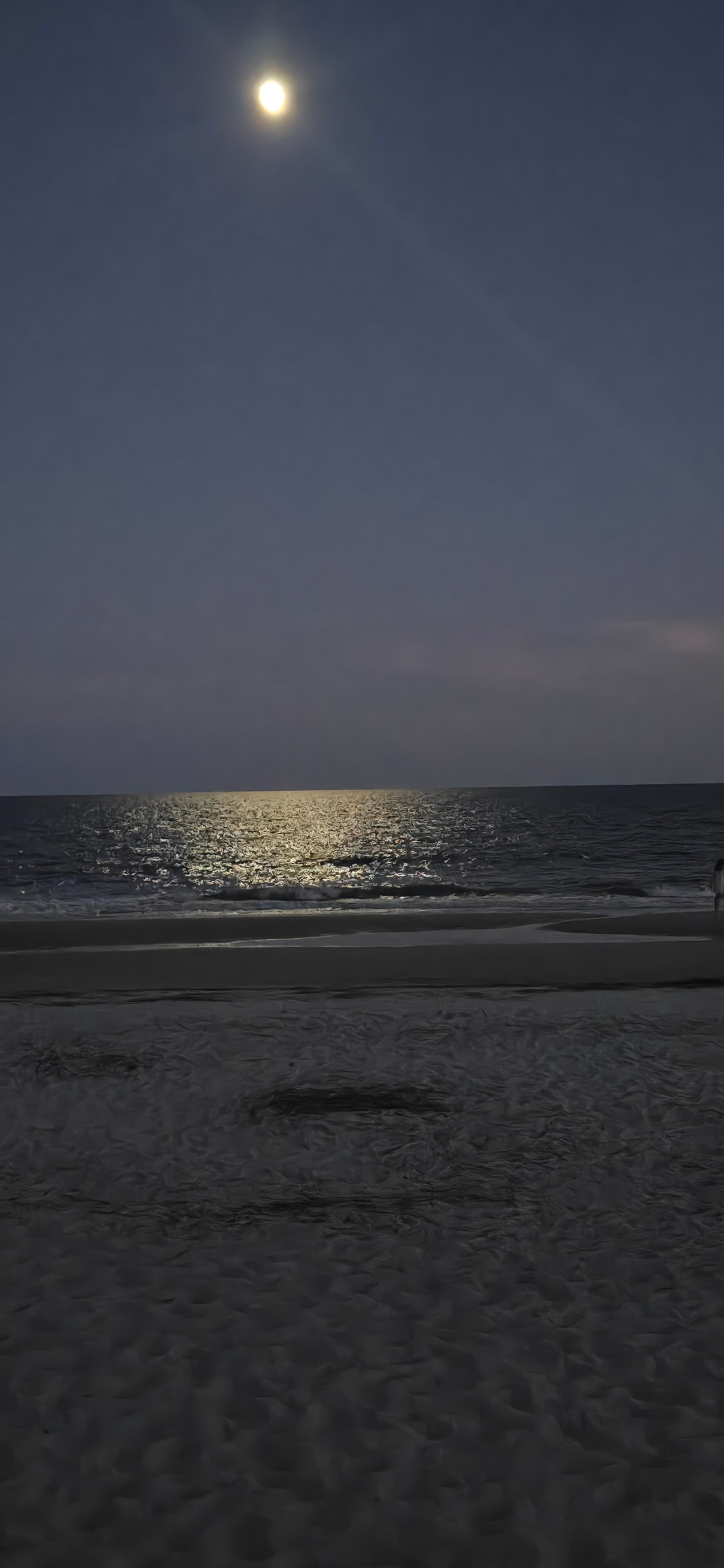 The Westin Hilton Head Island Resort & Spa-官方