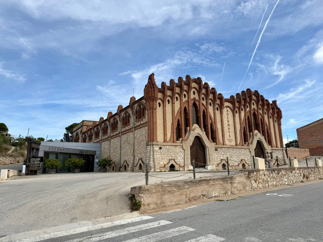 Adernats - Winery of Nulles-Nulles必去景点