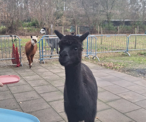 Het Land van Kempers-Geesteren必去景点