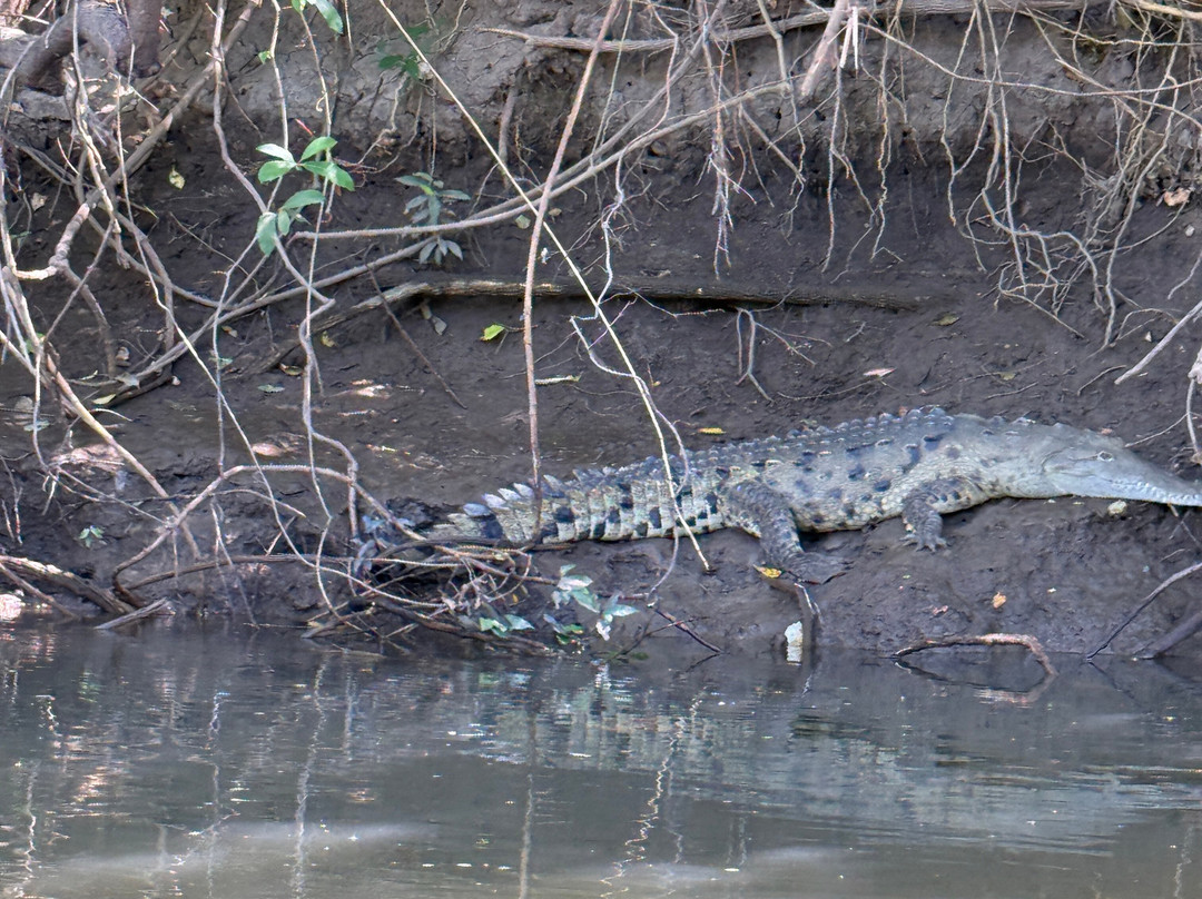 Hacienda El Viejo Wetlands-Area de Conservacion Guanacaste必去景点