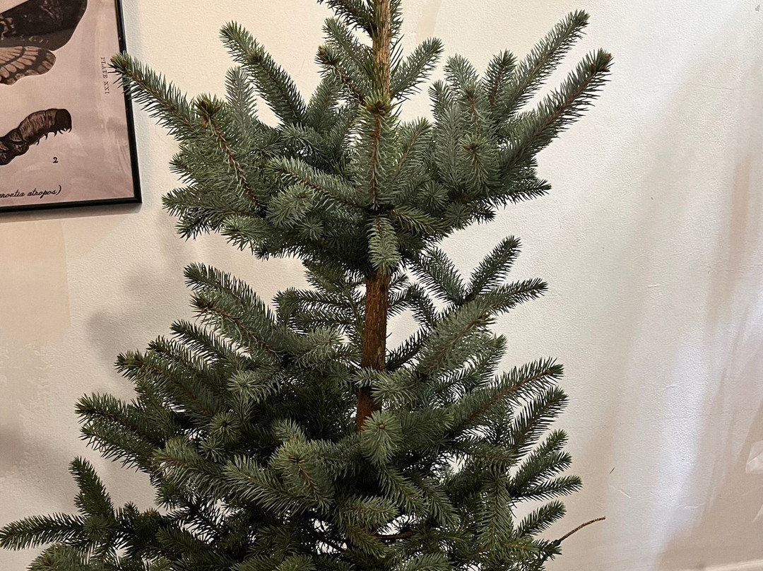 Jacksons Nurseries-Bagnall必去景点