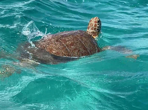 FisherNatours-图伦必去景点