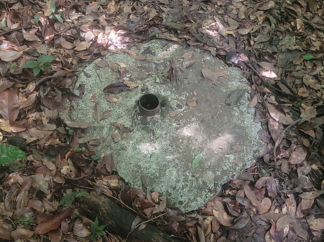 Sage Mountain National Park-托土拉必去景点