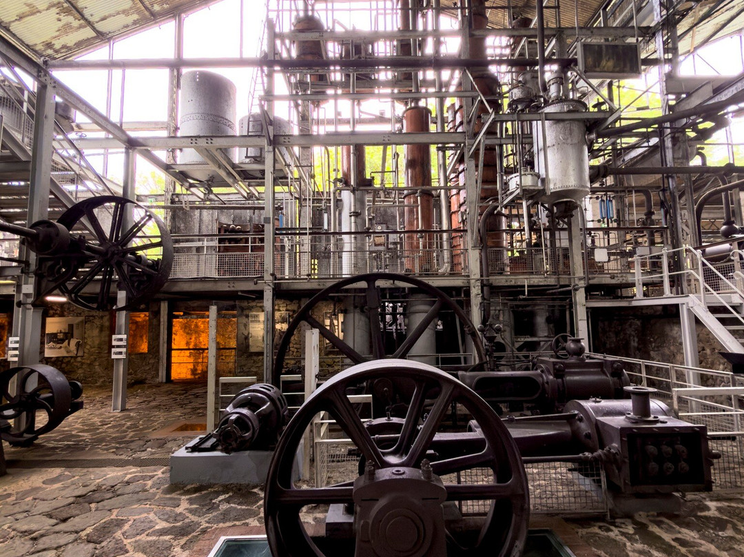 Habitation Clement-Le Francois必去景点