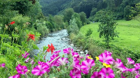 Hotel-Pension Cafe Schacher主图