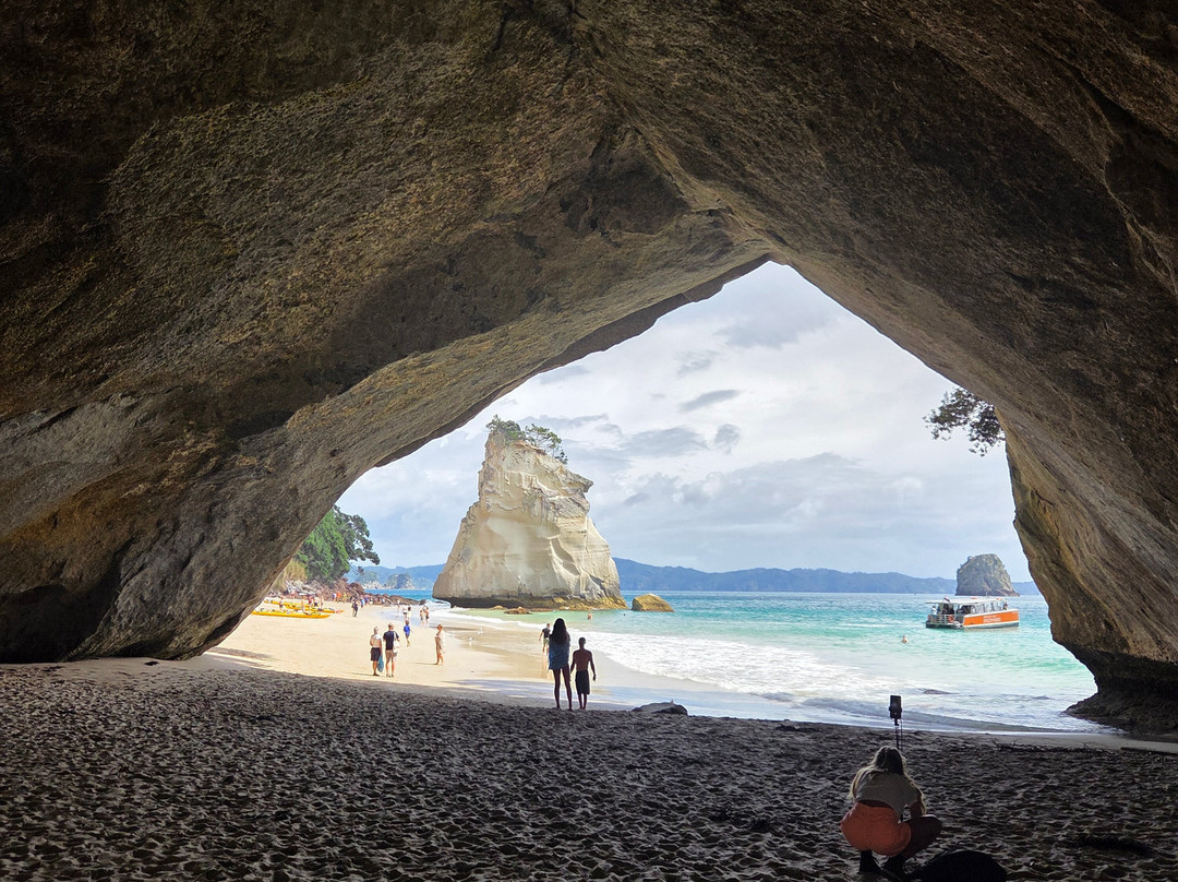 ExperienceKart-奥克兰中心地区必去景点