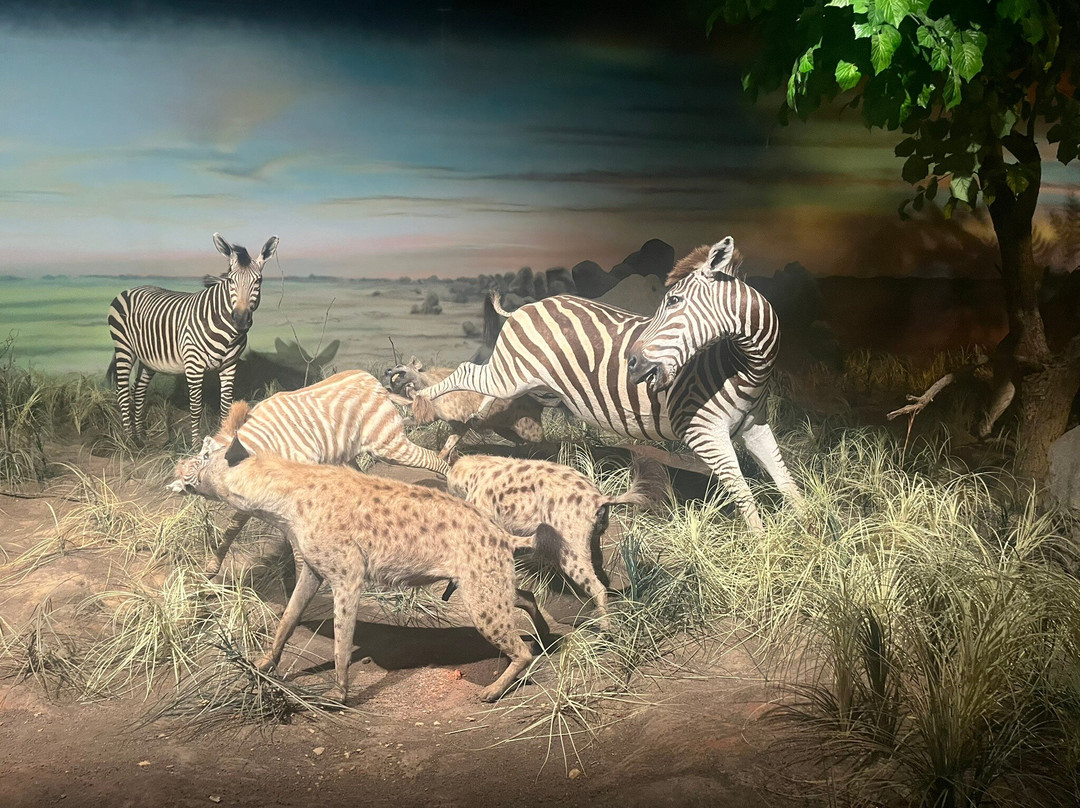 Rolling Hills Zoo-萨利纳必去景点