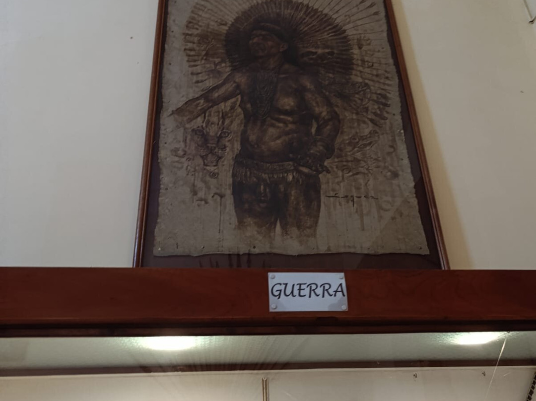 Museum of Indigenous Amazonian Cultures-伊基托斯必去景点