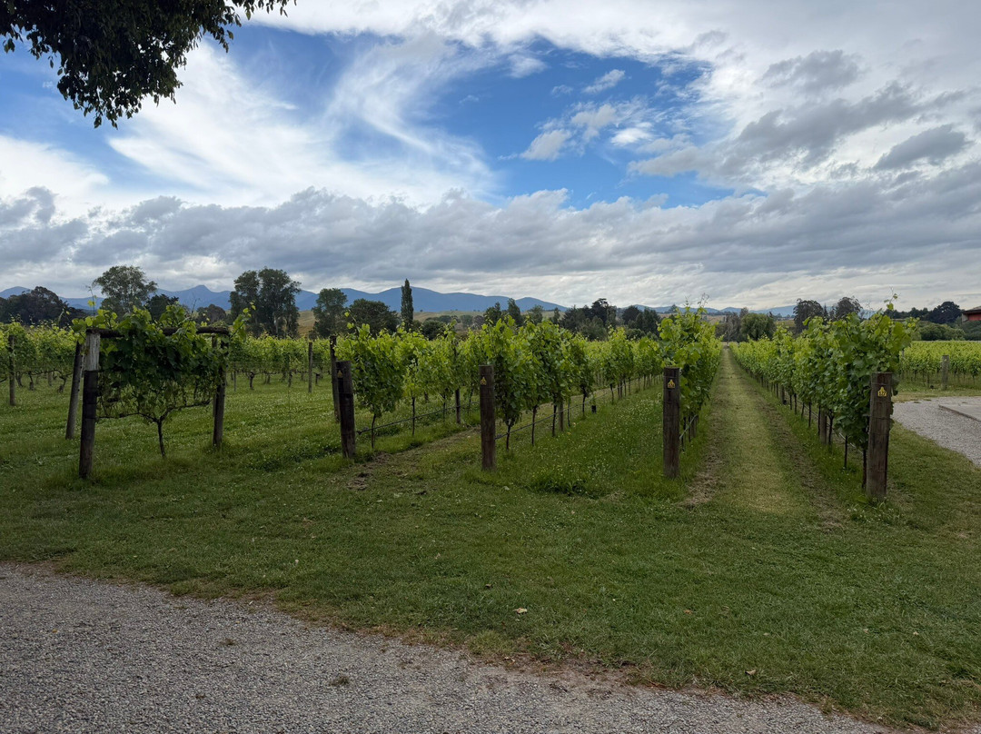 Neudorf Vineyards-Upper Moutere必去景点
