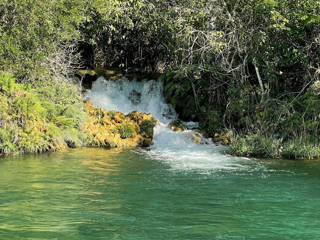 Aquario Natural-博尼图必去景点