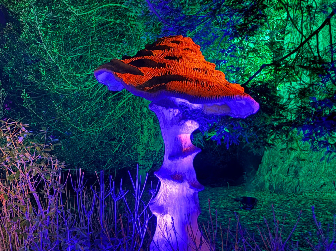 Leonardslee Illuminated