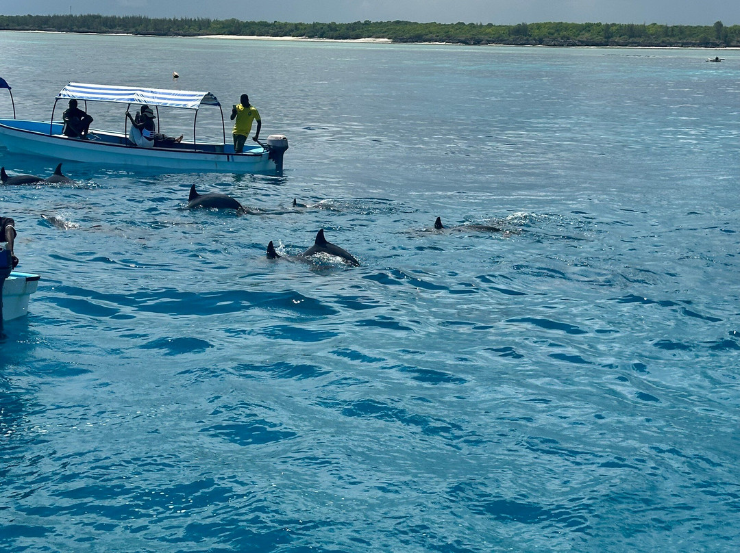 ScubaCaribe, Zanzibar-孥归必去景点