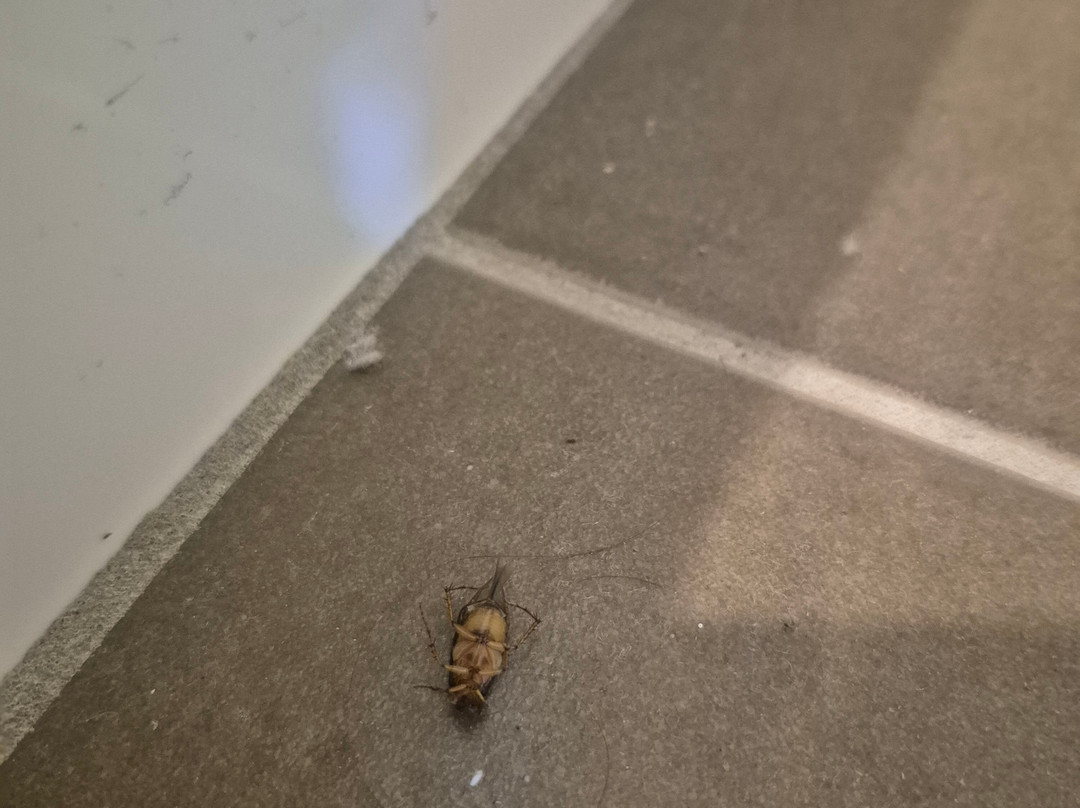 回声点汽车旅馆主图