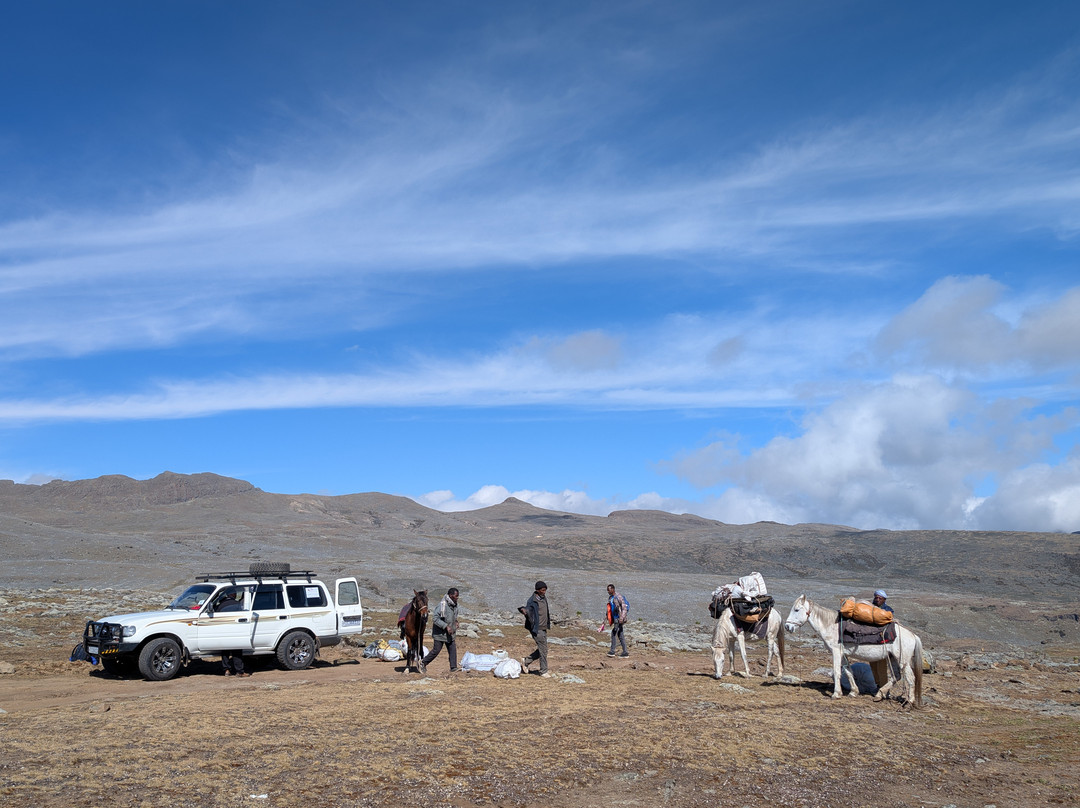 Bale Mountains Tours-Bale Mountains National Park必去景点