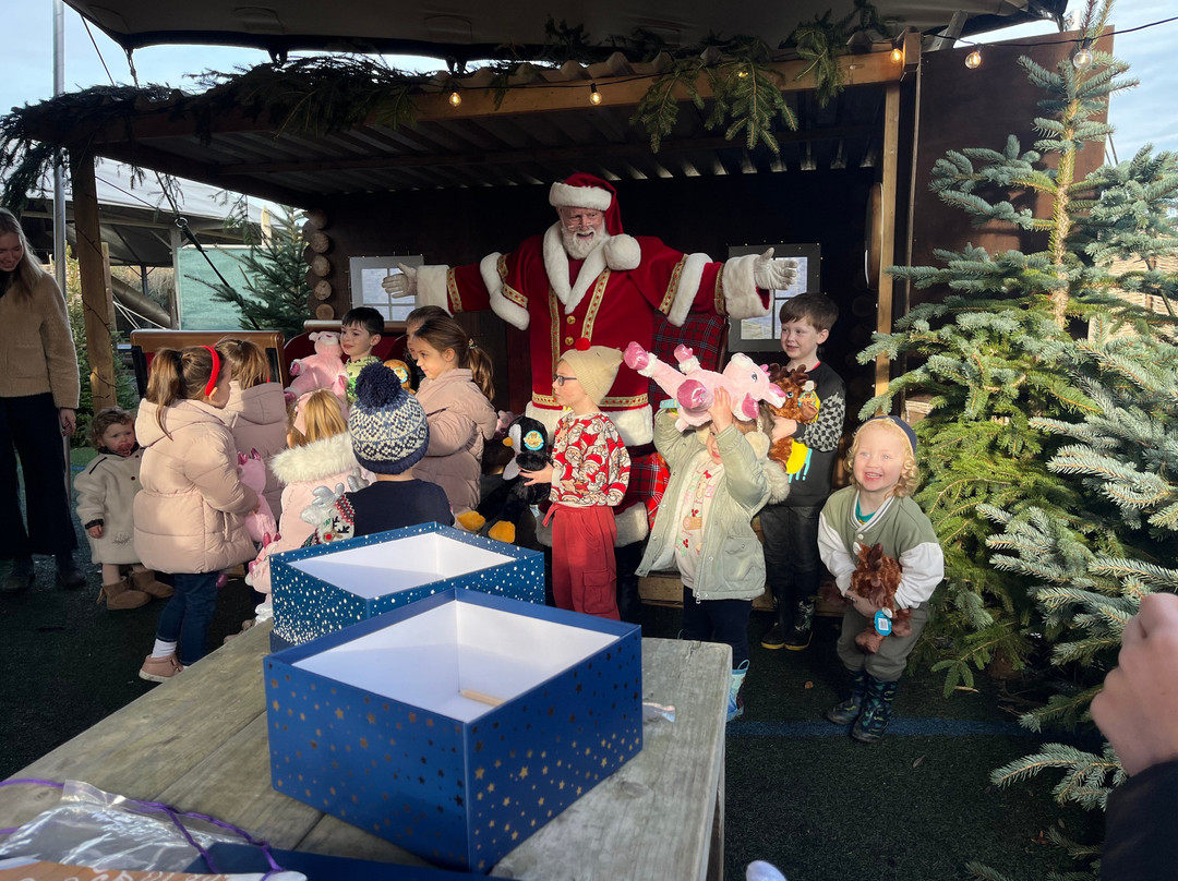 Hasty's Adventure Farm-滨海克拉克顿必去景点