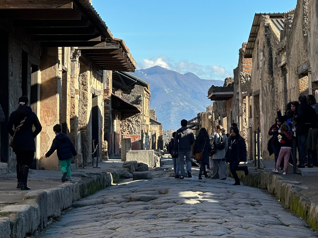 Crown Tours - Pompeii-庞贝必去景点