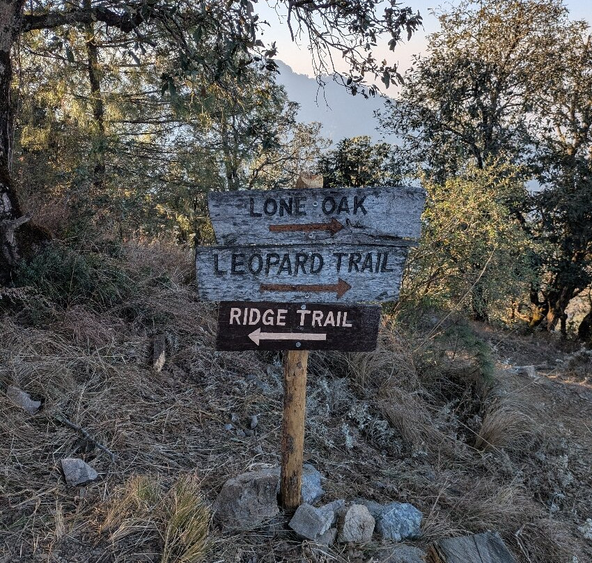 Jabarkhet Nature Reserve-马苏里必去景点
