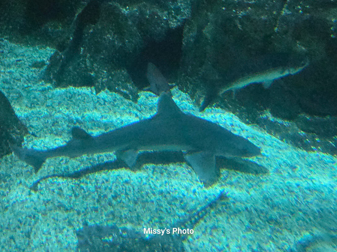 Travelodge Plymouth主图