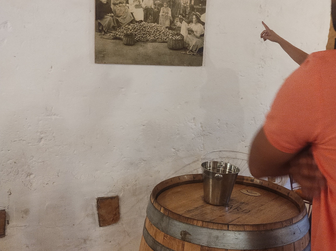 Fundo Los Nichos-Pisco Elqui必去景点