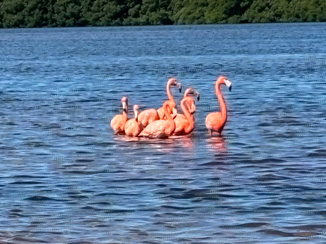Yucango-梅里达必去景点