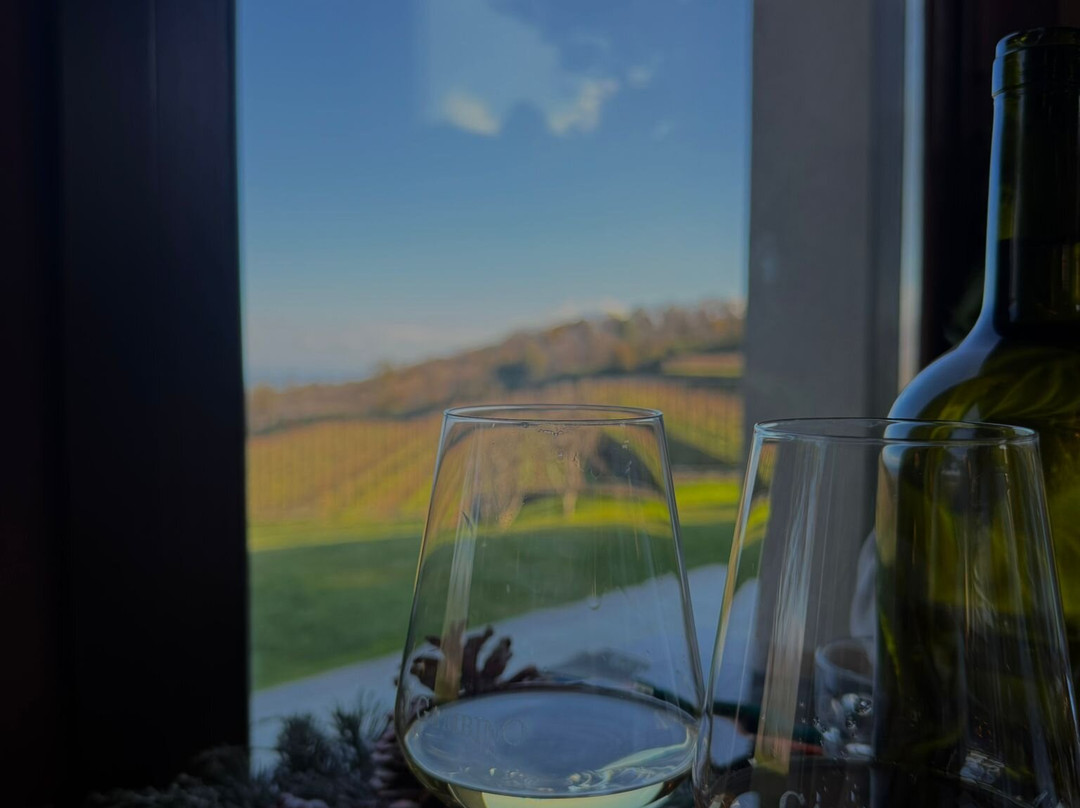 Gambino Winery-林瓜格洛萨必去景点