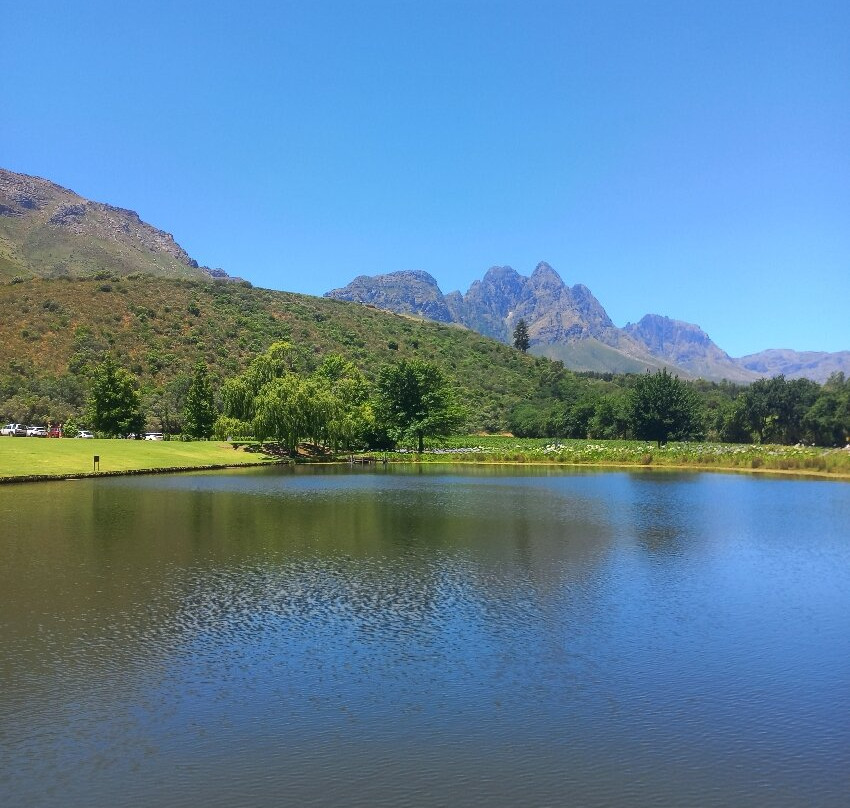 Stark-Condé Wines-斯泰伦博斯必去景点