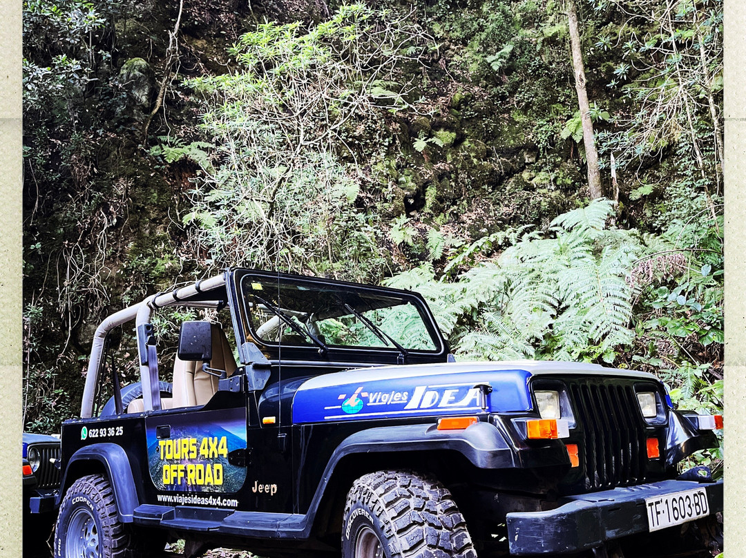 Viajes Idea 4x4 Tours La Palma-Mazo必去景点