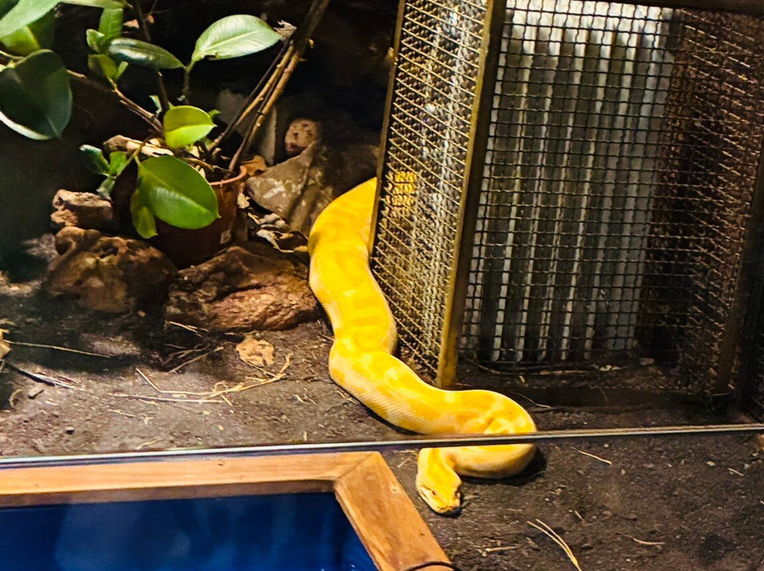 Bioparque Pantanal-大坎普市必去景点