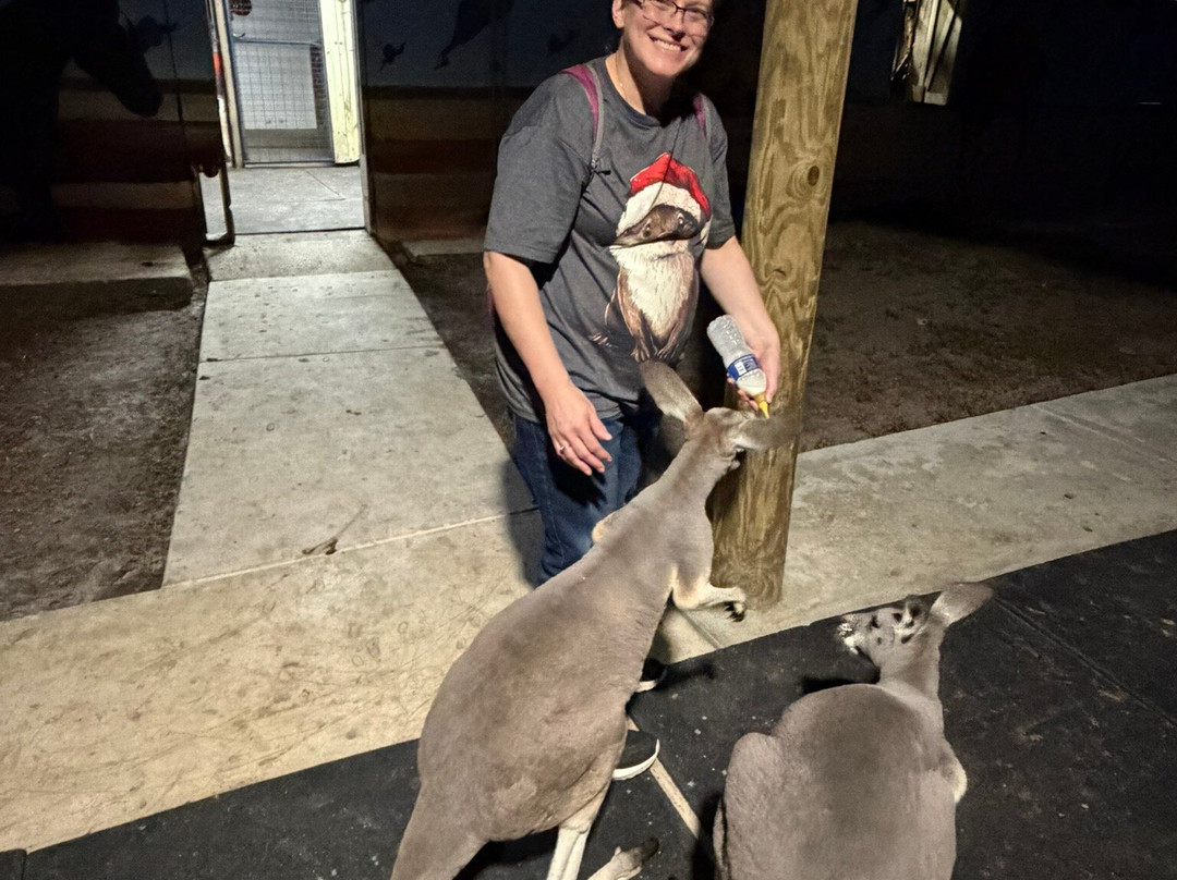 Animal EDventure Park & Safari-博因顿海滩必去景点